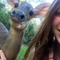 Friendly deer!