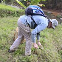 Cutting grass