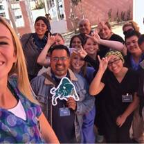 Roll Bison in Mexico