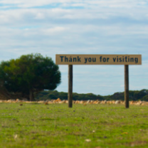 thank you for visiting sign