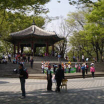 Study Abroad with USAC in Seoul, South Korea