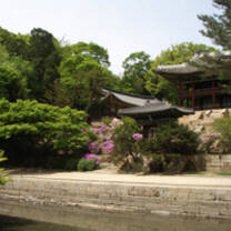 Study Abroad with USAC in Korea