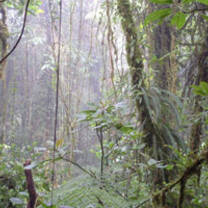 Study Abroad with USAC in San Ramon, Costa Rica