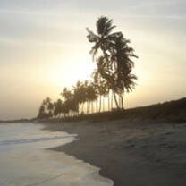 Study Abroad in Ghana with USAC