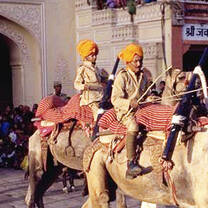 Camels in India
