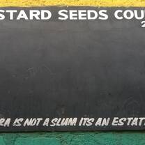 Dandora is not a slum, it's an estate