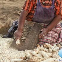 Immerse yourself in Guatemalan culture with cultural activities