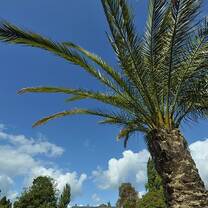 Rouen's Botanical Gardens