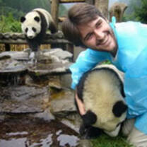 Volunteer with Pandas in China with Abroad China
