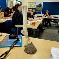 Students attending an equine care workshop, learning about horse anatomy and management in Scotland