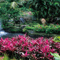 AIFS Costa Rica