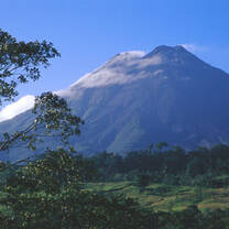 AIFS Costa Rica