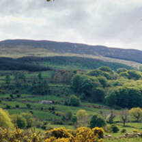 ieiMedia study abroad program in Northern Ireland