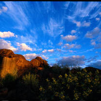 Study Abroad in Australia with ISA