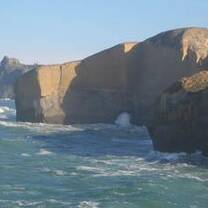 Study Abroad in New Zealand with BCA