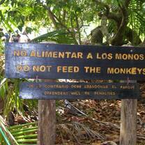 Studying abroad in Costa Rica offers a wealth of opportunities
