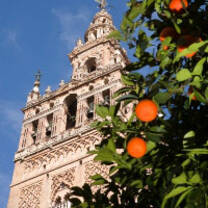 International Internships in Valencia