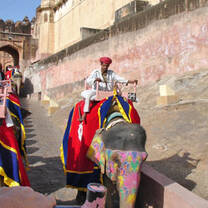 Ekno Experience in India