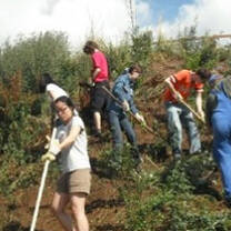 Volunteers gardening in Germany with Volunteers for Peace