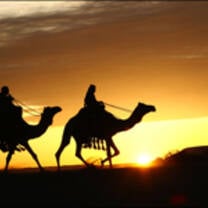 Get Paid to Teach English in Saudi Arabia with a TEFL Certification