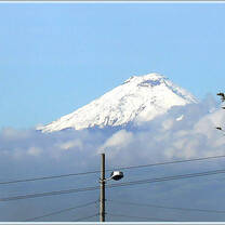 HECUA Study Abroad Programs in Ecuador
