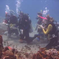 Study Marine Biology and Conservation with ITME