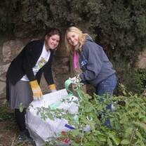 volunteers cleaning up outside