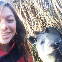 ELI Brazil, Tapirs, wildlife, Curitiba, conservation