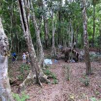 Study Abroad with the Maya Research Program