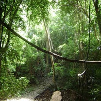 Study with the MRP in Belize