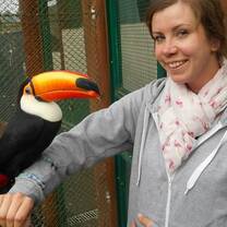 Wildlife, Toucan, Curitiba, ELI Brazil