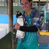 Veterinary Medicine internships in South Africa with Projects Abroad