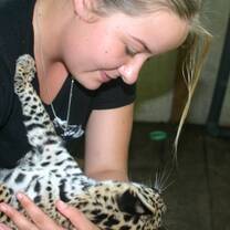 Wildlife Conservation in Peru with Projects Abroad