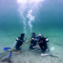 Learn how to dive while volunteering in Cambodia