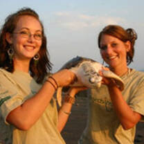 High school volunteers with a turtle in Mexico