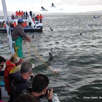 Shark watching project