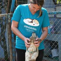 Volunteer playing with a dog in Thailand