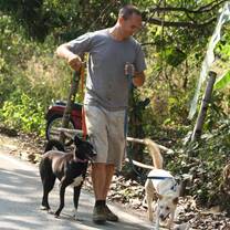 Helping animals