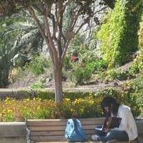 Join API and study abroad in Chile