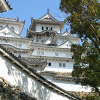 study in Nagoya with IES abroad