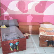 Volunteer living arrangements
