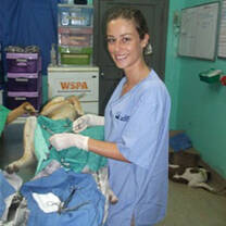 Intern in Fiji with Projects Abroad