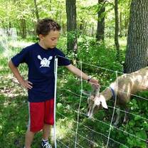 Participants live and work with the Anishinaabe people in White Earth, a reservation located in northern Minnesota. 