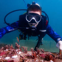 Look at our newly planted coral!