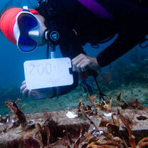 200th Dive!