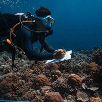 Aris, Conservation Diver Instructor monitoring the reef