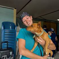 volunteer at veterinary clinic