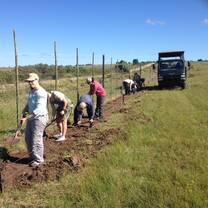 Volunteers in action carrying out maintenance tasks on site