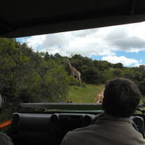 Monitoring and tracking of the animals on the reserve