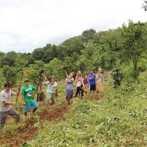 Volunteers in action on forest maintenance and upkeep tasks
